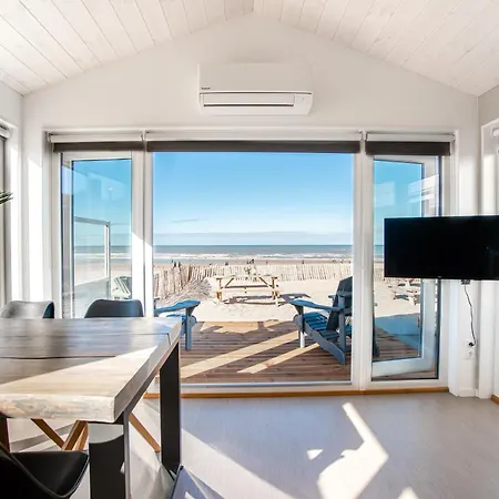 Buddha Adults Only *