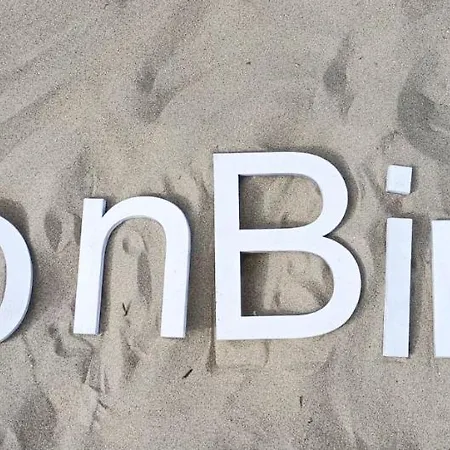 Buddha Adults Only *