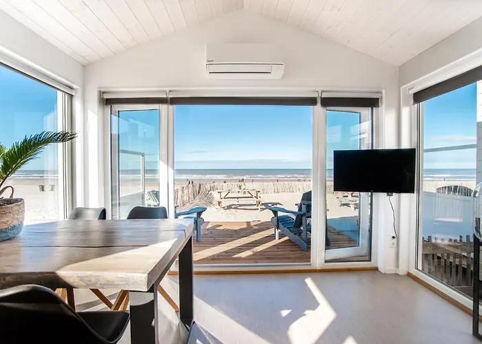 Buddha Adults Only *