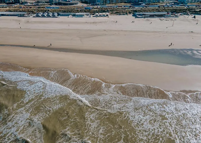 Buddha Adults Only Chalet Zandvoort