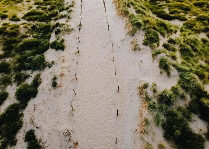 Buddha Adults Only Шале