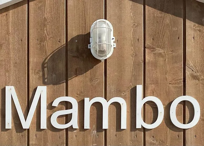 Buddha Adults Only Зандфорт